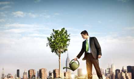 grow wealth online