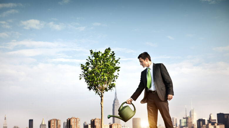 grow wealth online